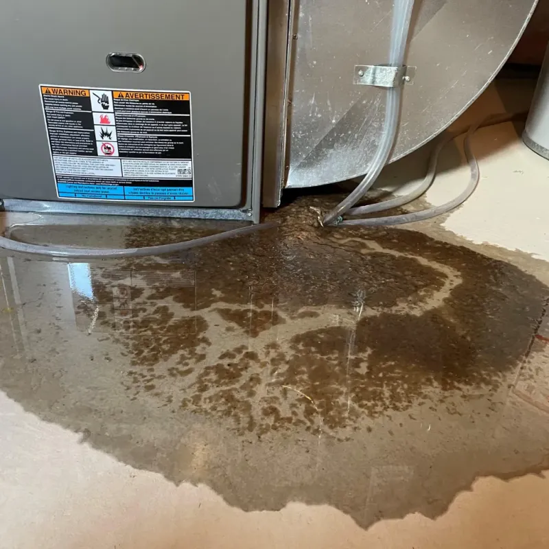 Appliance Leak Cleanup in Monte Vista, CO