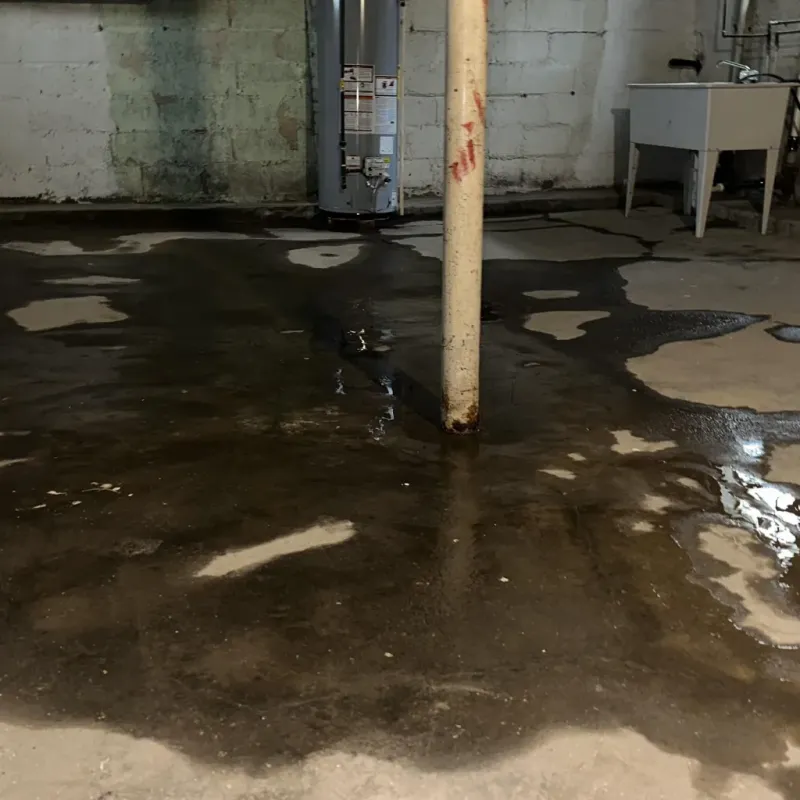 Emergency Water Extraction And Removal in Monte Vista, CO